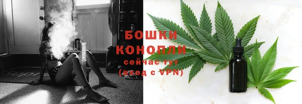 дурь Богородицк