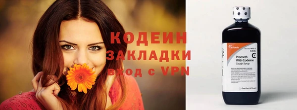 дурь Богородицк