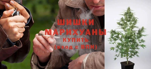дурь Богородицк